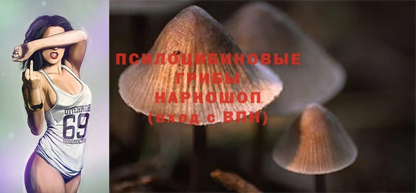 мефедрон Медногорск